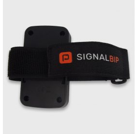 Sangle