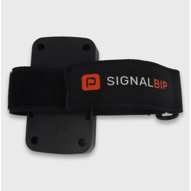 Sangle
