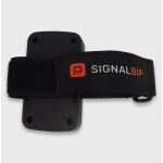 Sangle