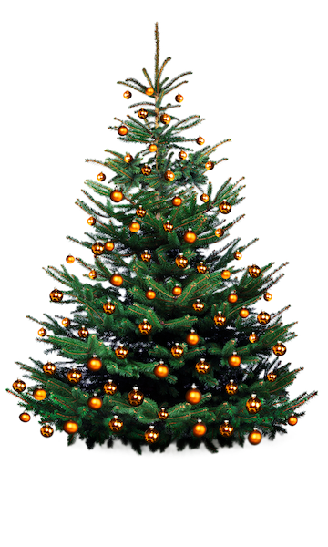 Sapin de noël